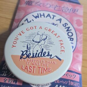 STUDIO ghibli Milk Cap button pin Kikis delivery service Youve Got A Great Face